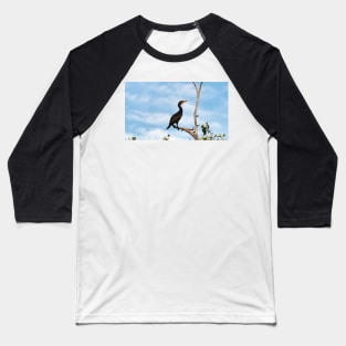 Double-crested Cormorant Perched On a Tree Branch Baseball T-Shirt